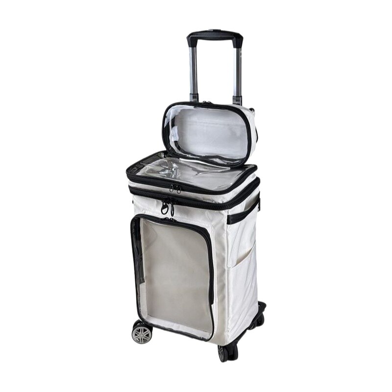 Spinner Wheel Rolling Suitcase 20 Inch - Harajuku Style Cartoon Transparent Luggage 20